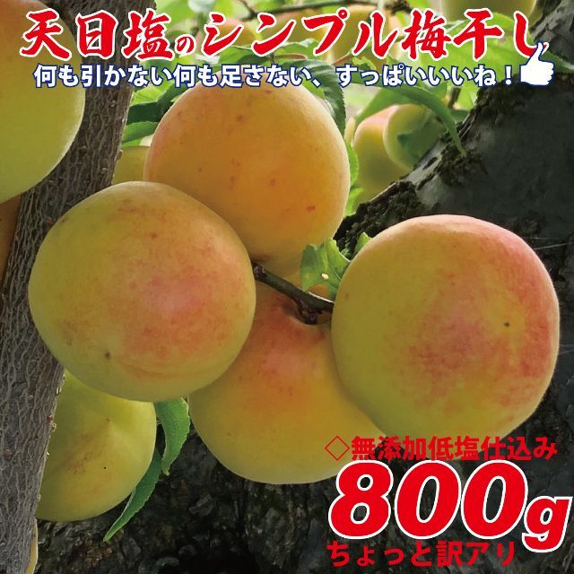 天日塩のシンプル梅干 無添加白加賀梅干800ｇ3Ｌ（17ｇ以上）ちょっと訳アリ 食品/飲料/酒の加工食品(漬物)の商品写真