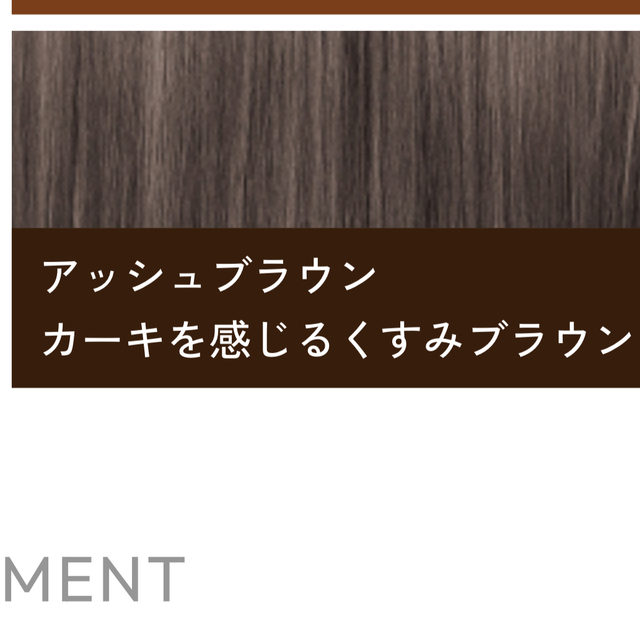 今ダケ送料無料 clayence クレイスパ カラートリートメント キャラメル