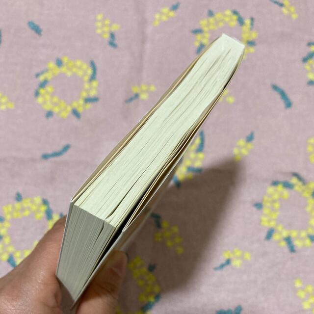 ほろよい読書 エンタメ/ホビーの本(その他)の商品写真