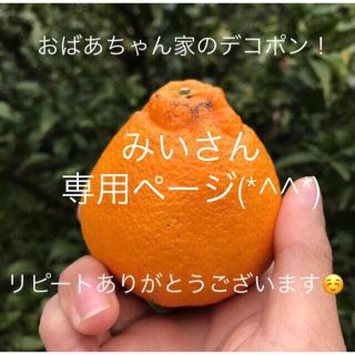 みいさん専用ページ | tspea.org