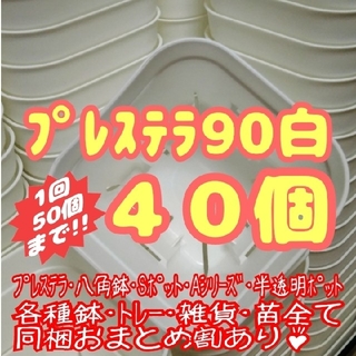 【スリット鉢】プレステラ90白40個 多肉植物 プラ鉢(プランター)