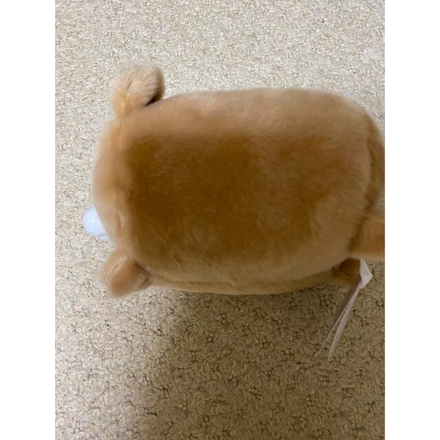 ころころらちふ ぬいぐるみ くま エンタメ/ホビーのおもちゃ/ぬいぐるみ(ぬいぐるみ)の商品写真