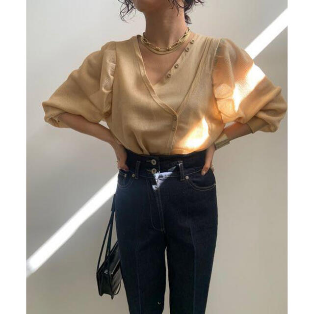 限定W特典付属 アメリヴィンテージ SHEER CLOUD TOPS | taesis.com.mx