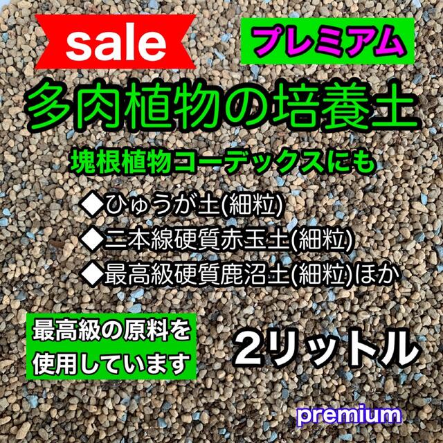 多肉植物の土 サボテンの土 多肉植物用土 塊根植物の土 ハンドメイドのフラワー/ガーデン(その他)の商品写真