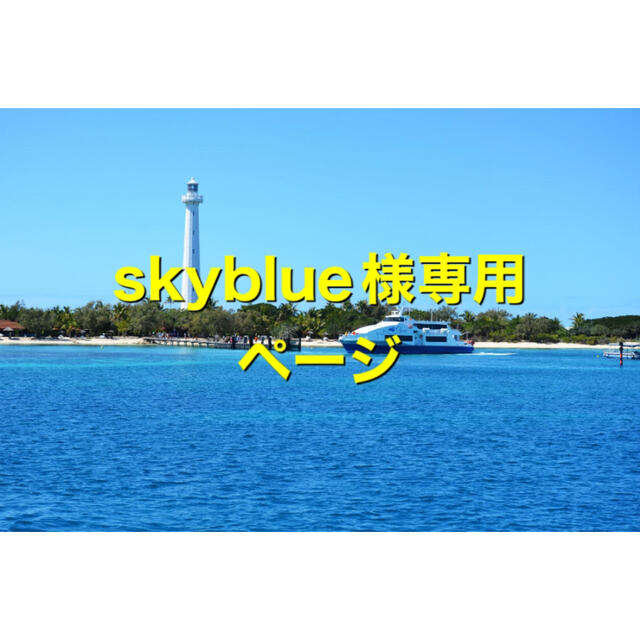 埼玉県ふじみ野市 sky blue様専用ページ | yourmaximum.com