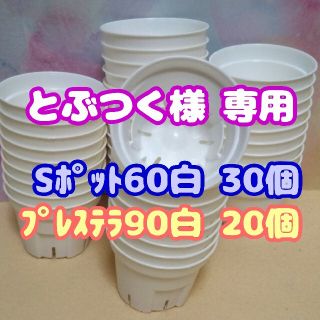 《Sポット60》白 30個他スリット鉢 プラ鉢 2号鉢相当 多肉植物プレステラ(プランター)