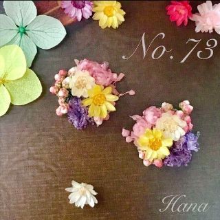 No.73 色とりどりの小さなお花畑　本物のお花のブーケピアス　イヤリング(ピアス)