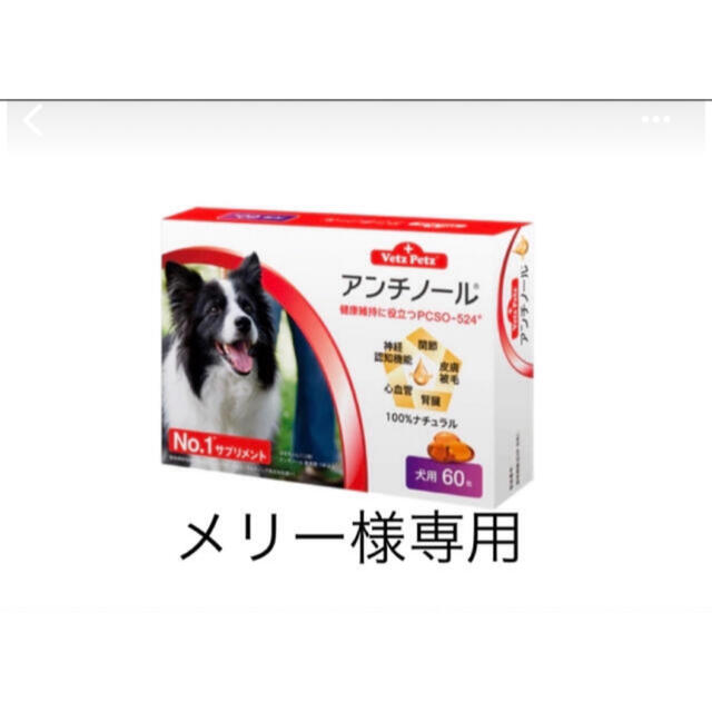 待望☆】 メリー様専用 60T 30箱、10箱、90T10箱 犬 - rinsa.ca