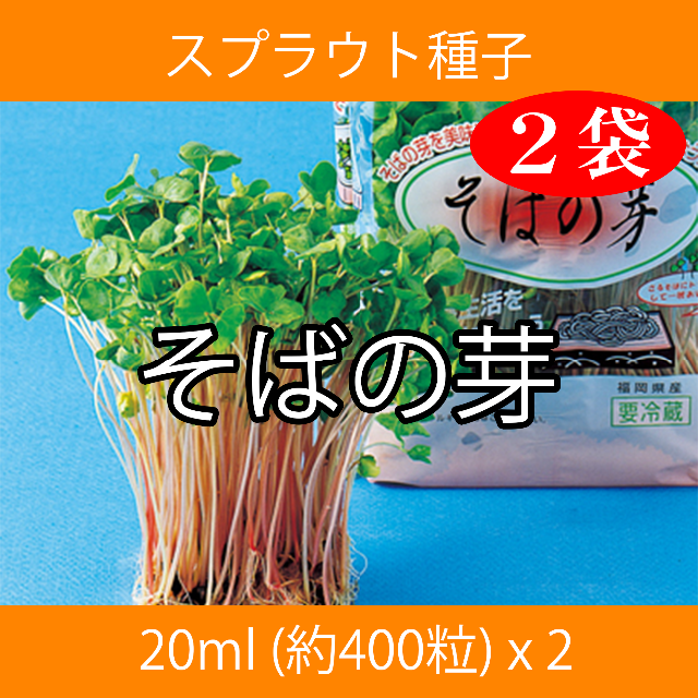 スプラウト種子 S-08 そばの芽 20ml 約400粒 x 2袋 食品/飲料/酒の食品(野菜)の商品写真