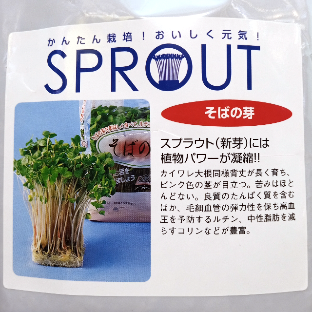 スプラウト種子 S-08 そばの芽 20ml 約400粒 x 2袋 食品/飲料/酒の食品(野菜)の商品写真