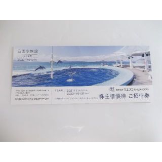 るるる木綿豆腐様専用　四国水族館 ご招待券3枚セット　ラクマパックで発送(その他)