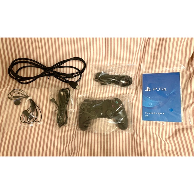 SONY PlayStation4 本体 CUH-2100AB01