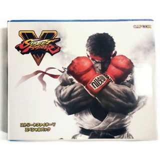 美品 PS4 プレイステーション 4 ストリートファイター5 スペシャルパック