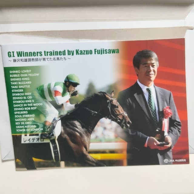 JRA 藤沢和雄厩舎 GIホース フォトブック　パンフレット エンタメ/ホビーのコレクション(ノベルティグッズ)の商品写真