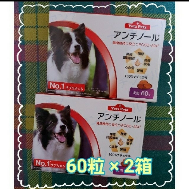 パステルオリーブ 犬用アンチノール90カプセル入×6箱セット