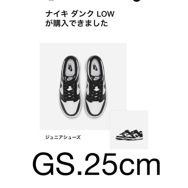 Nike GS Dunk Low Retro 