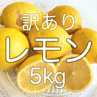 レモン 5kg(フルーツ)