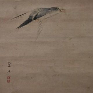 作者不詳/ホトトギス/杜鵑/時鳥//不如帰画賛掛軸☆宝船☆L-947 作者不詳/ホトトギス/杜鵑/時鳥//不如帰画賛掛軸☆宝船☆L-947