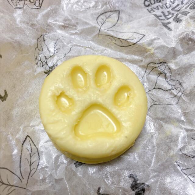 LUSH(ラッシュ)のLUSH チャリティポットコイン　動物 コスメ/美容のボディケア(ボディローション/ミルク)の商品写真