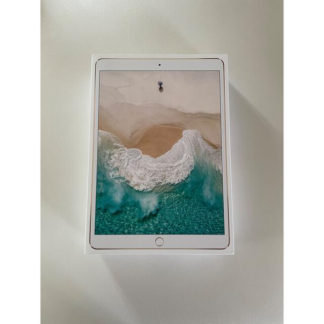 iPad pro 10.5 256GB wifi モデル