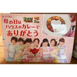 エーケービーフォーティーエイト(AKB48)のakb48 ハウス食品　パネル　ボード　レア(アイドルグッズ)