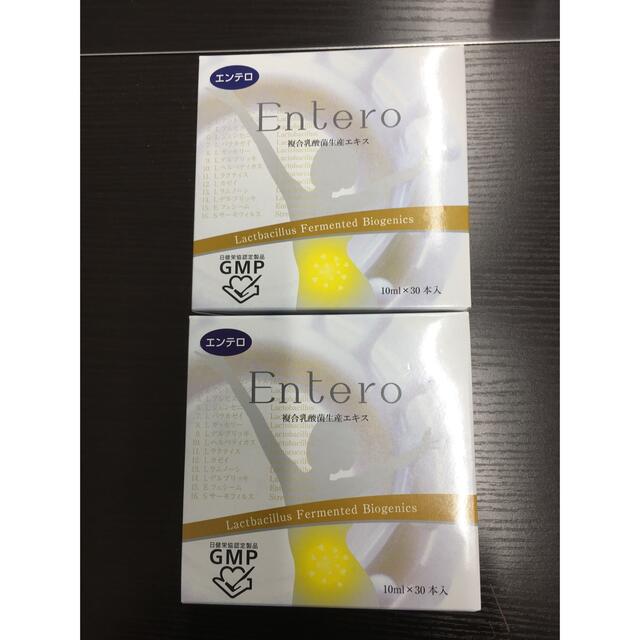 複合乳酸菌生産エキス　エンテロ2箱
