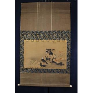 【真作】狩野古信 紅葉小禽図 江戸中期 掛軸☆宝船☆M-254の通販
