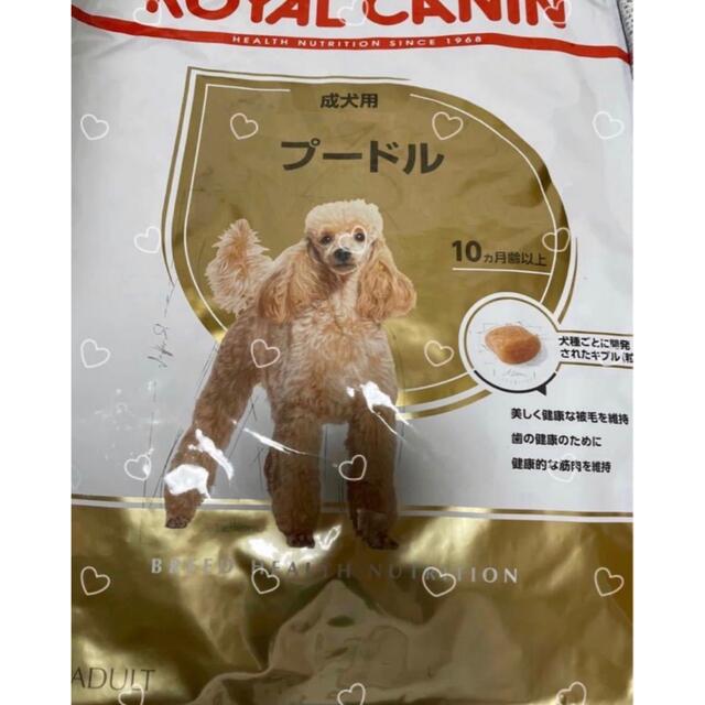 ロイヤルカナン トイプードル成犬用 7.5kg×2袋 www.krzysztofbialy.com