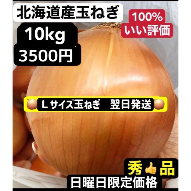 北海道産玉ねぎ　箱込み10kg　野菜