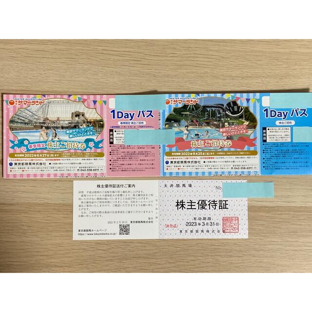 東京サマーランド 株主優待 4枚-
