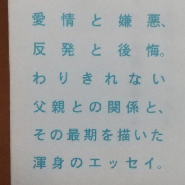 角川書店(カドカワショテン)の父のなくしもの エンタメ/ホビーの漫画(その他)の商品写真