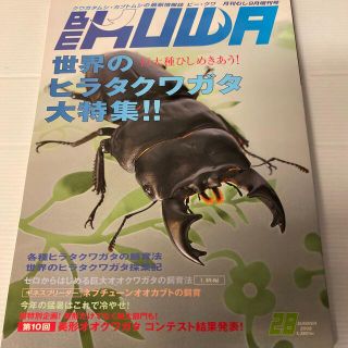 ビークワ　BE KUWA 月刊むし9月増刊号 28 クワガタ カブトムシ情報誌 (虫類)