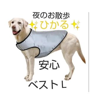 【セール！】安全設計！光るシルバーベスト！内側メッシュ　大型犬　マルカン　梟(犬)