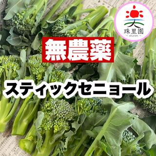 無農薬 スティックセニョール 500g 即購入OK(野菜)