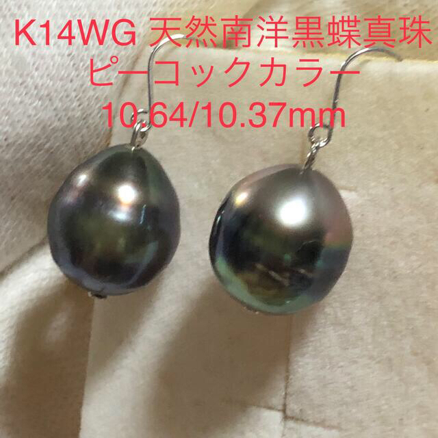 K14WG 天然南洋黒蝶真珠10.64/10.37mmピアスピアス