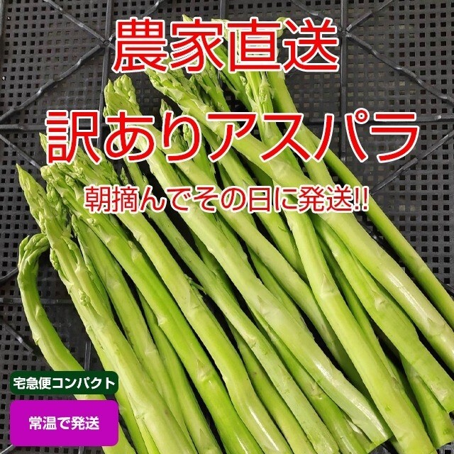 【訳あり品】アスパラガス 800g 新鮮野菜 食品/飲料/酒の食品(野菜)の商品写真
