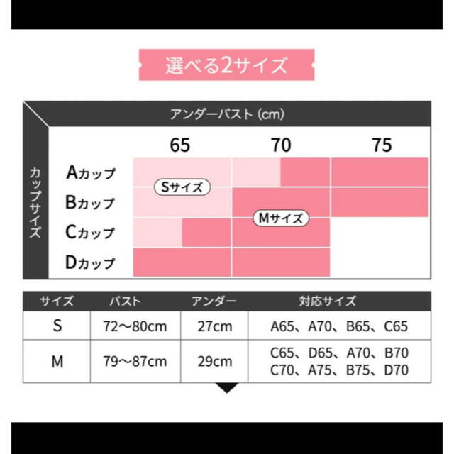 GYDA(ジェイダ)のAGARISM  GYDA スタイリング ブラ Mサイズ 新品 アガリズム レディースの下着/アンダーウェア(ブラ)の商品写真