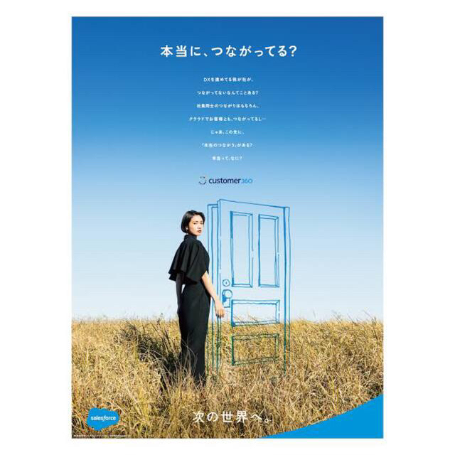 になってい⑺ teloplan セールスフォースCM 二階堂ふみ着用衣装