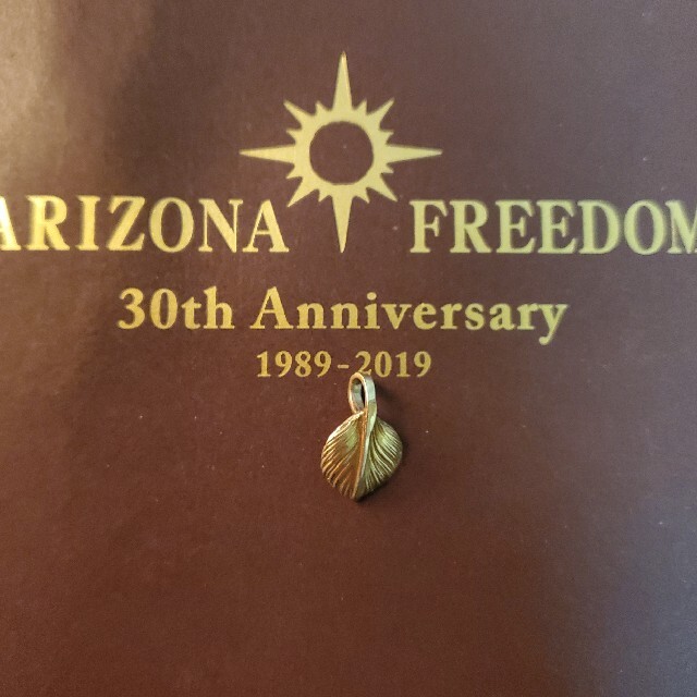 ARIZONA FREEDOM(アリゾナフリーダム)の【アリゾナフリーダム】 メンズのアクセサリー(ネックレス)の商品写真