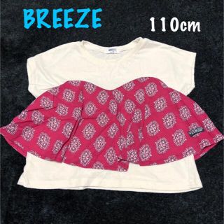 ブリーズ(BREEZE)のbreeze  ペイズリー柄Tシャツ(Tシャツ/カットソー)