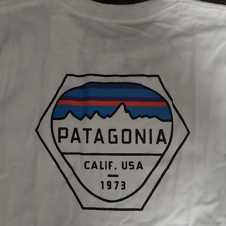 パタゴニア(patagonia)の【長袖 L】☆新品・未使用☆ patagonia パタゴニア ロンT(Tシャツ/カットソー(七分/長袖))