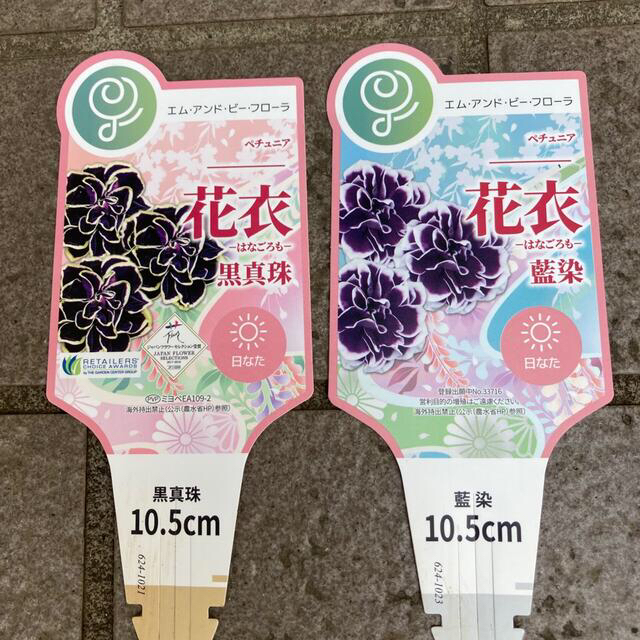 🌸sold out🌸《ペチュニア苗 花衣 黒真珠&藍染》 2苗⭐︎ラクマパック ...