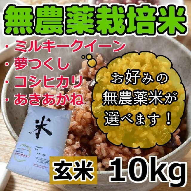 【選べる無農薬米】令和3年産 新米 無農薬栽培米 [玄米] 10kg