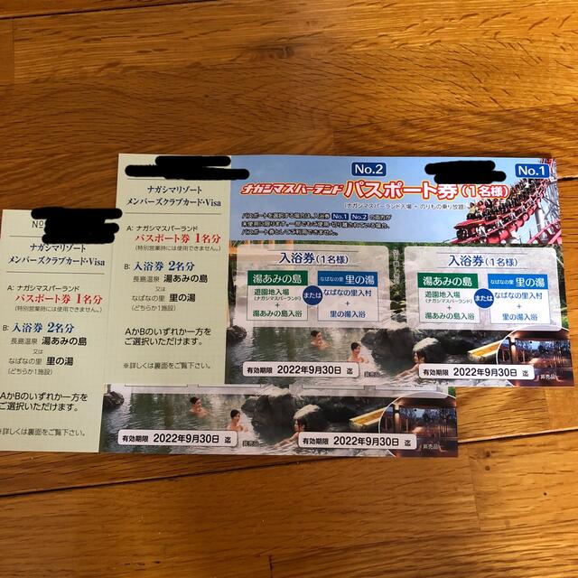 ナガシマスパーランド パスポート券 2枚 | gellonautos.cl