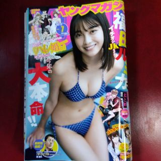 ヤングマガジン 2022年 1/31号(アート/エンタメ/ホビー)