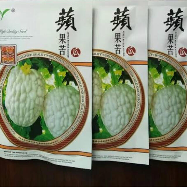 新食感 台湾アップルゴーヤ 野菜種 3粒 食品/飲料/酒の食品(野菜)の商品写真
