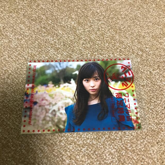 ワニブックス(ワニブックス)のいつのまにか。 福原遥写真集　中古品 エンタメ/ホビーの本(アート/エンタメ)の商品写真