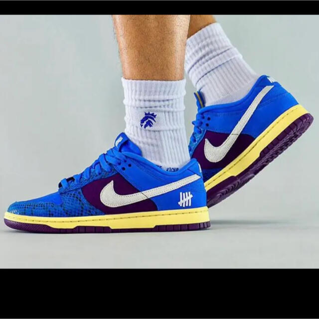 付属品完備NIKE × UNDEFEATED DUNK LOW SP ROYAL