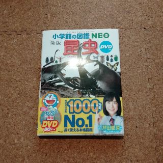 ショウガクカン(小学館)の小学館の図鑑　NEO　昆虫　DVD付(絵本/児童書)