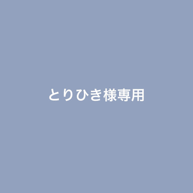 超激得大人気 とりひき様専用